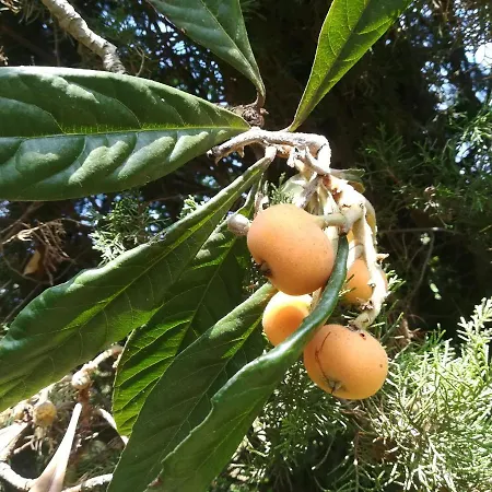 Апартаменты Sweet With Private Pool Lori