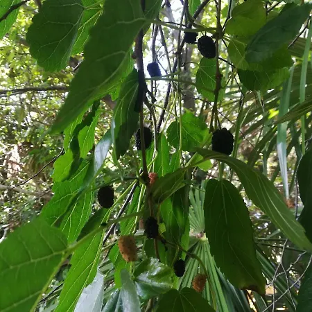 Sweet With Private Pool Lori Apartman *