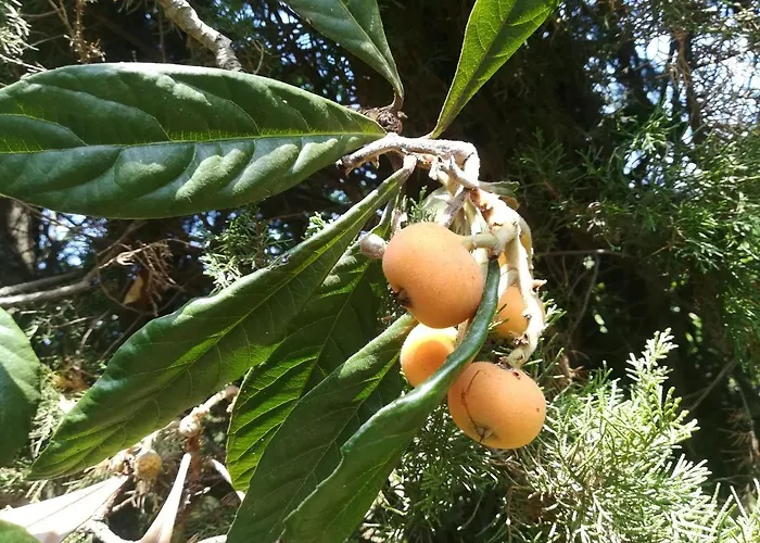 شقة Sweet With Private Pool Lori