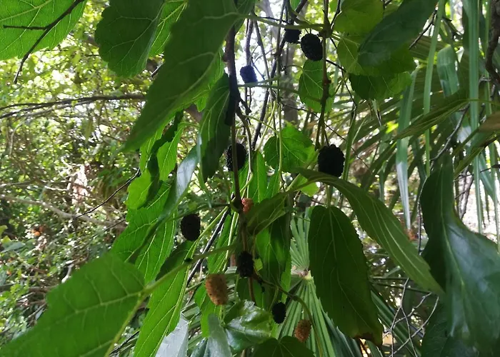 Sweet With Private Pool Lori Daire *